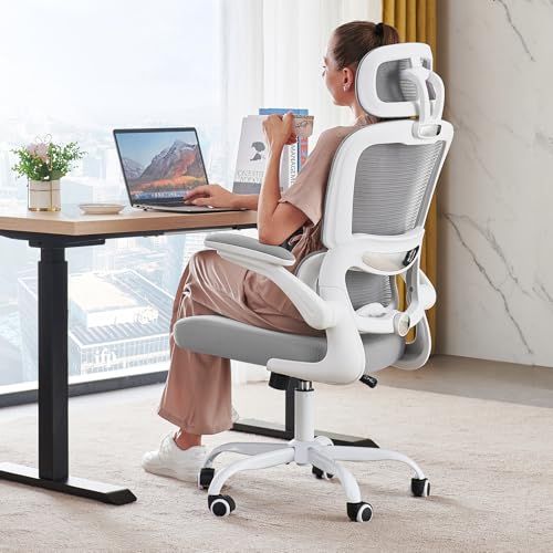 Ergonomic Desk Chair