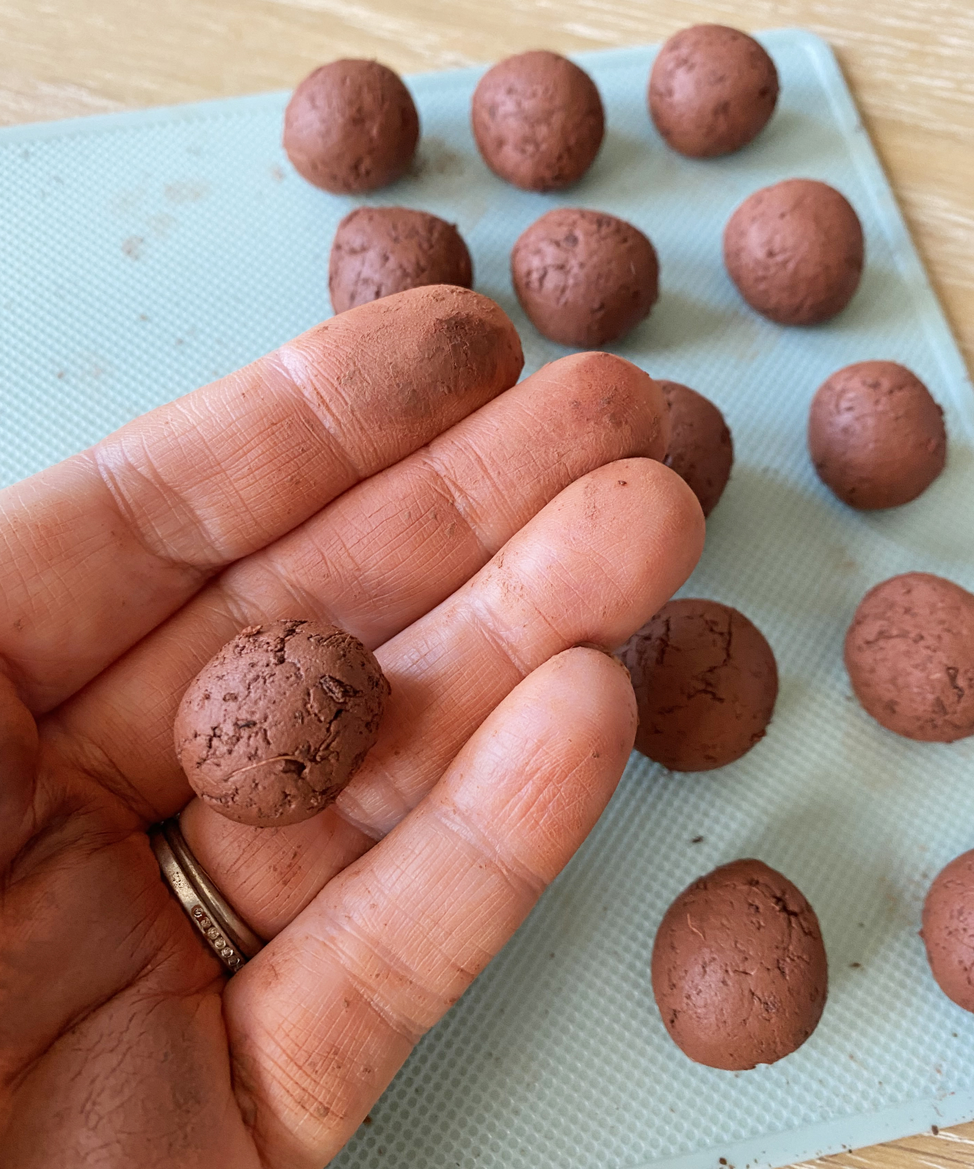 Rolling seed bombs into balls
