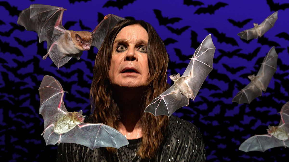 ozzy osbourne eating a bat gif