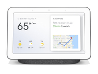 Google best sale hub $99