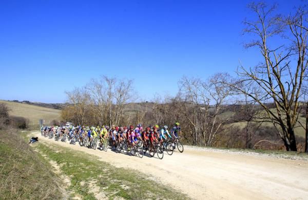 The peloton ride together early in the race