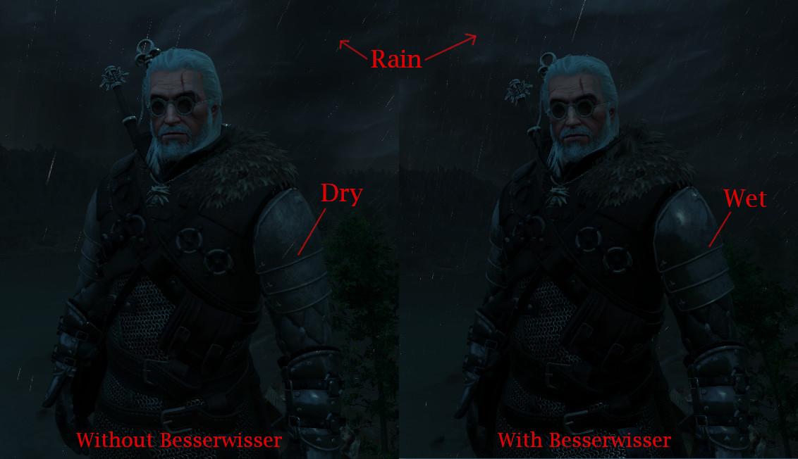 Besserwisser's Fix Collection, one of the best Witcher 3 mods