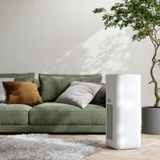 White modern design air purifier, dehumidifier in living room, sage green suede leather sofa, cushion, tropical tree on wood parquet floor in sunlight