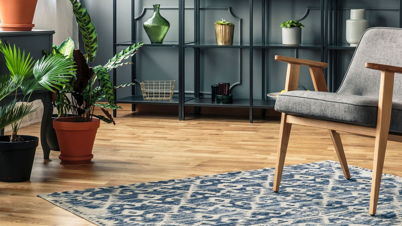 houseplants on wooden floor with rug and chair