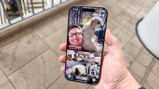 Apple Intelligence Memory Movie featuring the writer and a dog in iOS 18.1