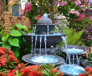 water feature with plants in backyard