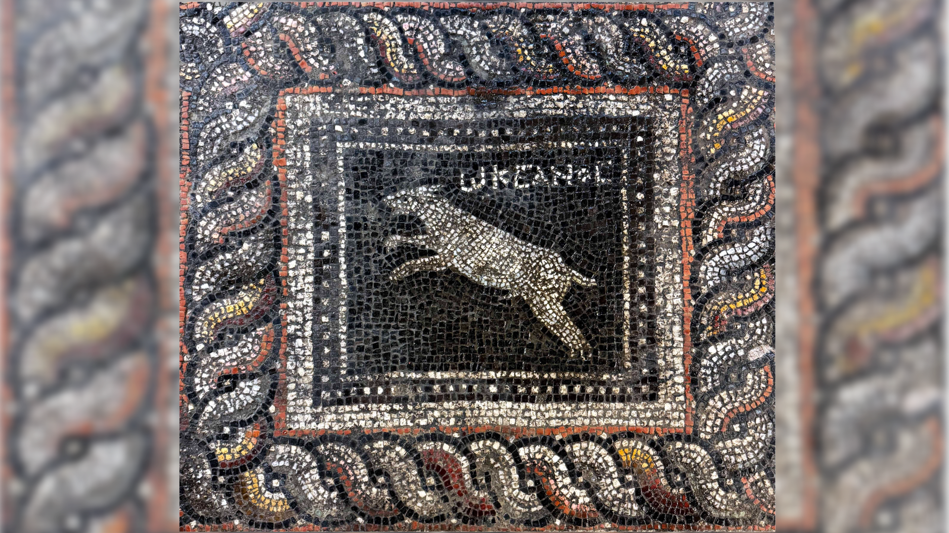 a panel of a multicolored Roman floor mosaic that depicts a dog named Ocean