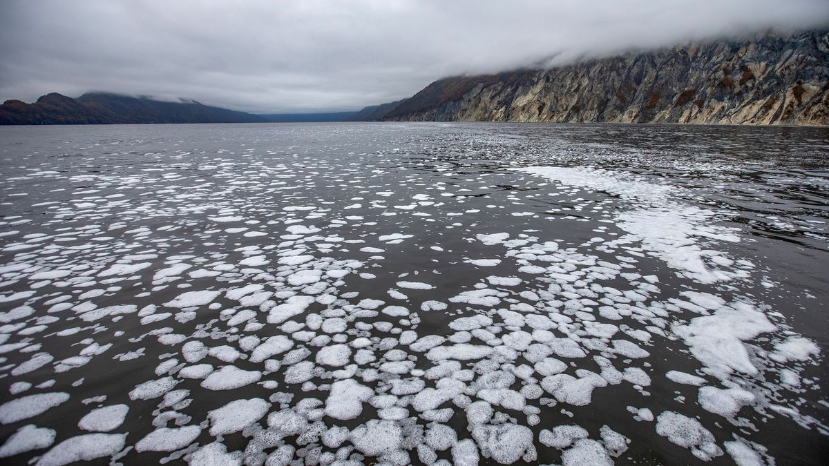 Researchers report that up to 95% of the creatures on the seafloor of Kamchatka Peninsula&#039;s Avacha Bay may have been killed off by the pollution. Avacha Bay is shown here on Oct. 5.