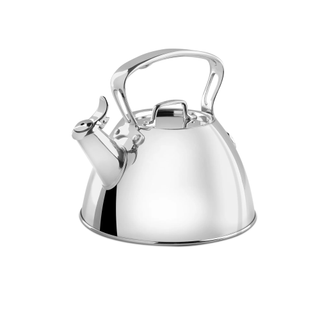 Stainless Steel Tea Kettle