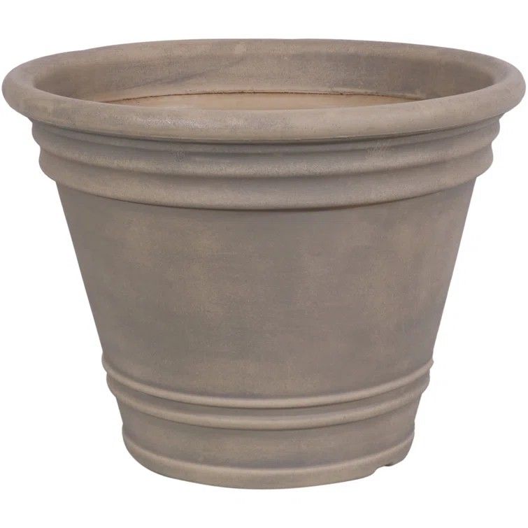 Wayfair / Charlton Home pot