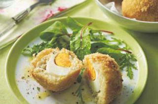 Smoked haddock scotch eggs