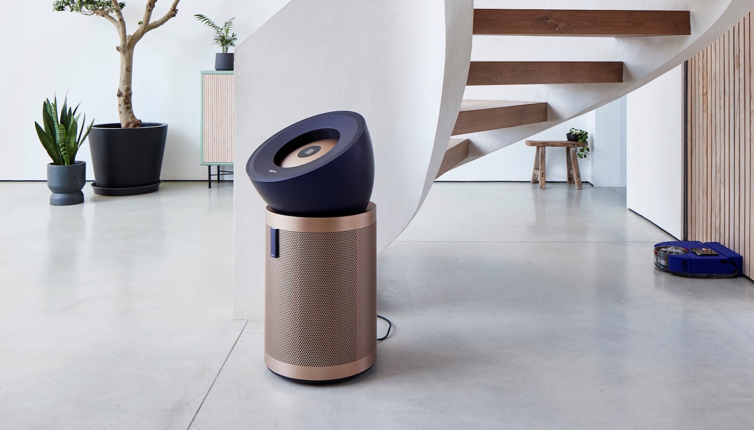 Dyson