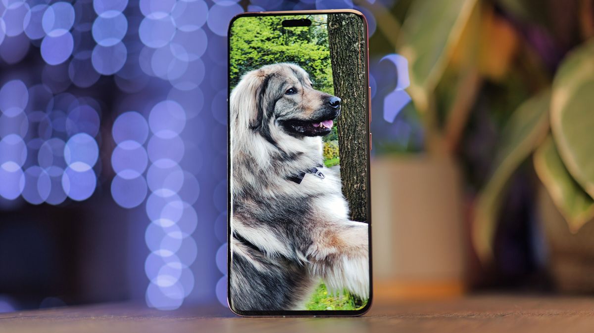 Honor Magic 6 RSR Porsche Design on a table in front of blurred blue lights with a picture of a dog on the phone's screen