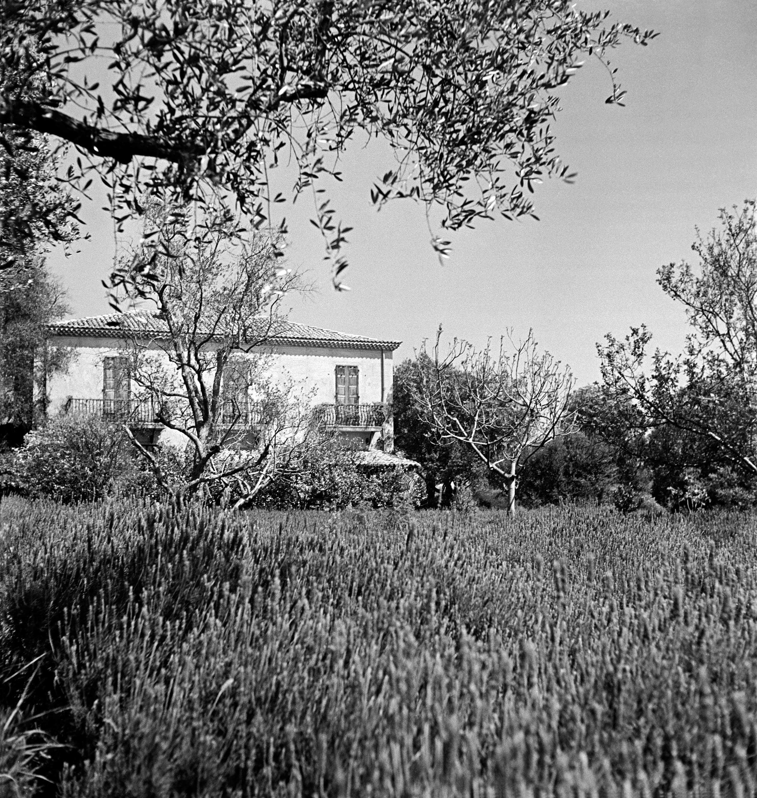 chanel garden la pausa 1938