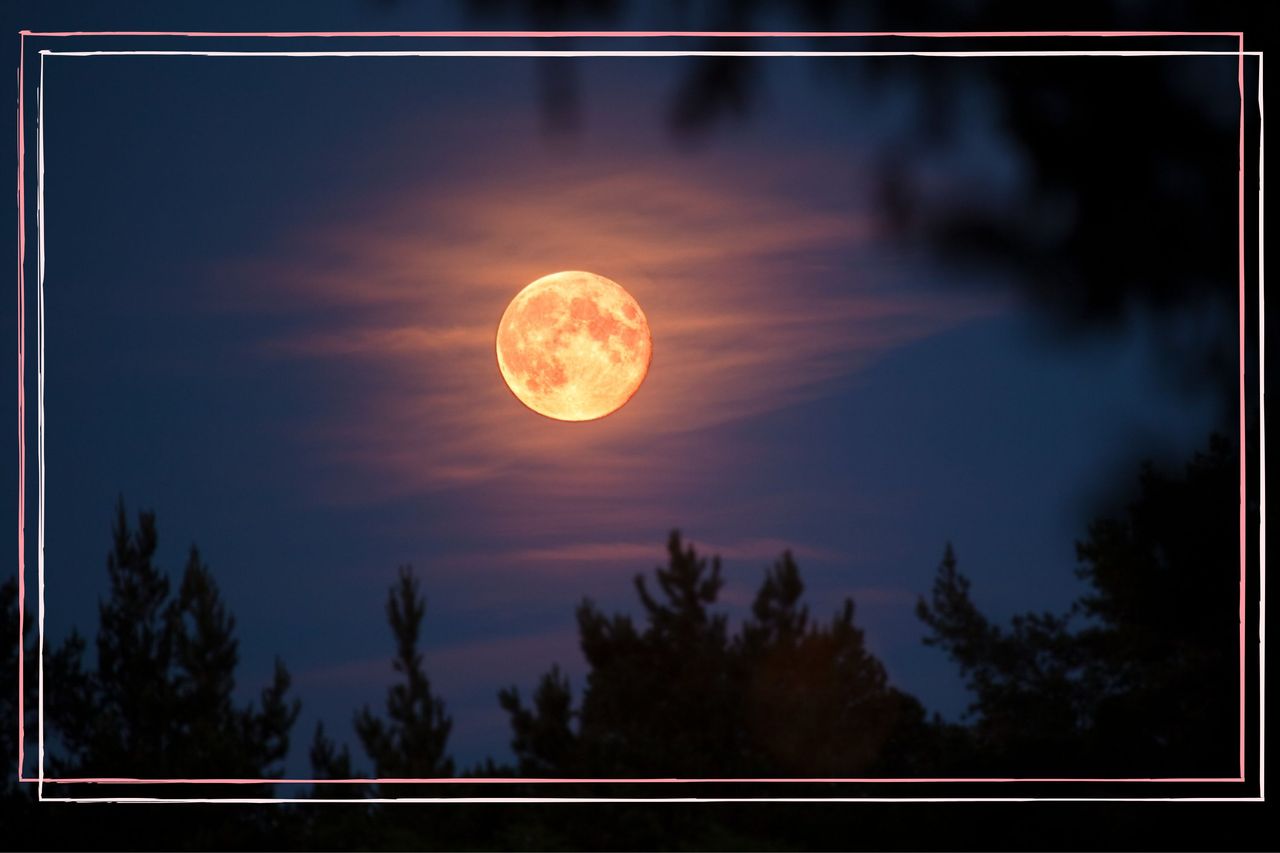 a long shot of the Sturgeon moon in the night&#039;s sky