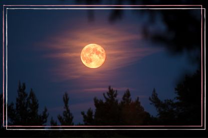 a long shot of the Sturgeon moon in the night's sky