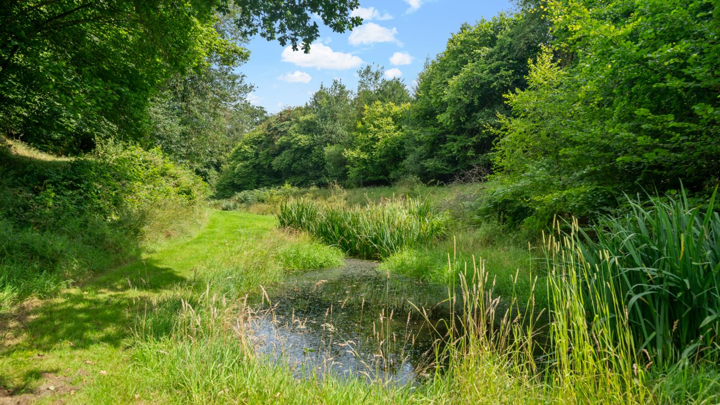 Stream-Farm-GU26-031.jpg