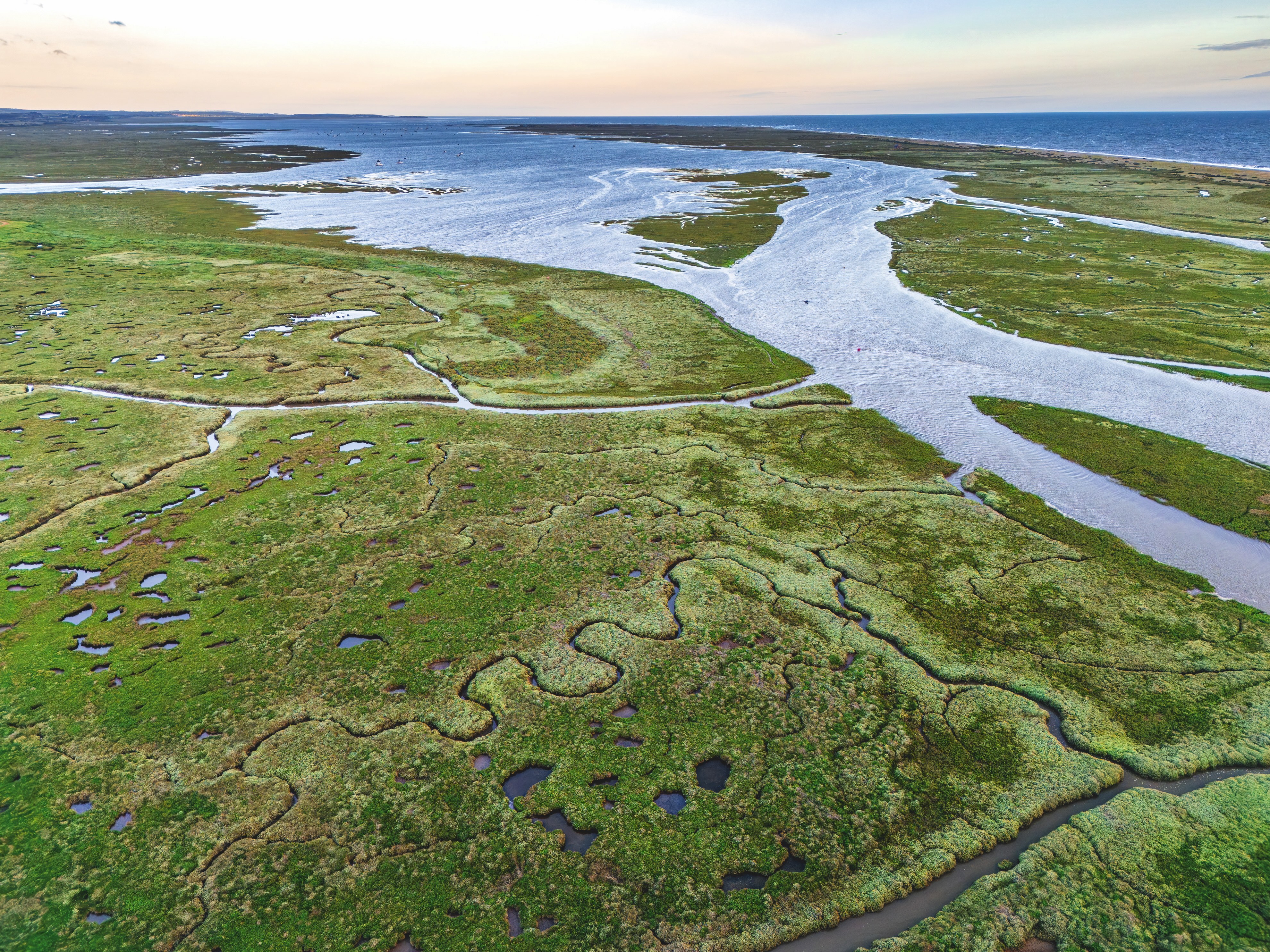 An aerial view of the estuary, showing the main river and hundreds of streams and pools