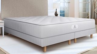 Sheraton mattress