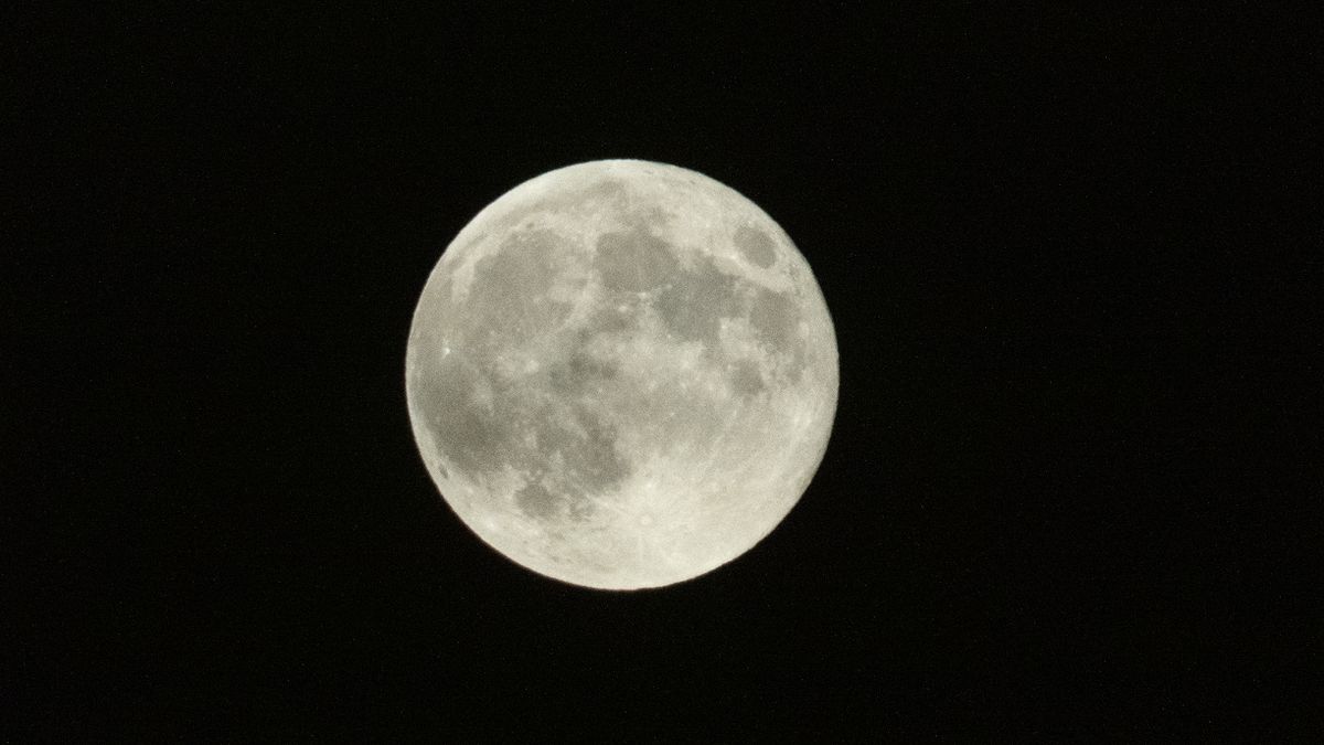 Sample image taken with Panasonic Lumix G82 bridge camera