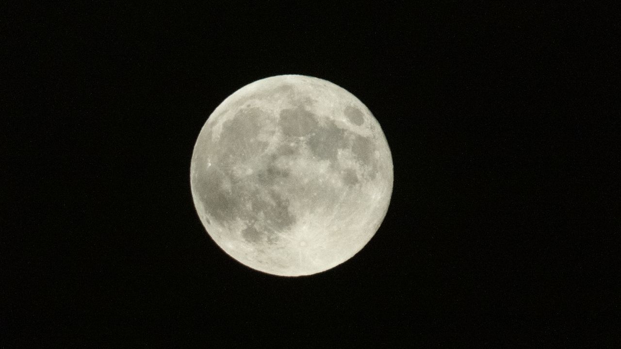 Sample image taken with Panasonic Lumix G82 bridge camera