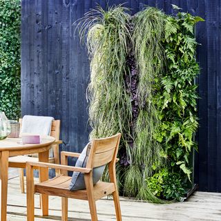 outdoor wooden dinning table and chair dark blue wooden frame with plant wall