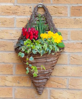 spring container ideas plants in a basket wall hanger