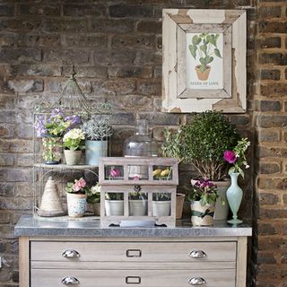 bricked wall with wooden drawer and potted plants