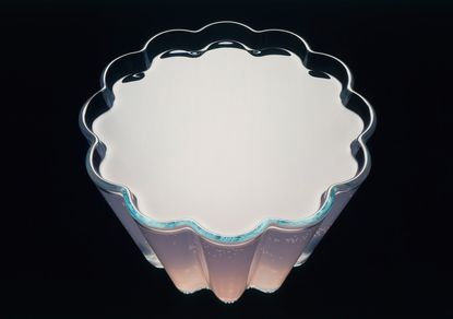 still life photo of an glass object