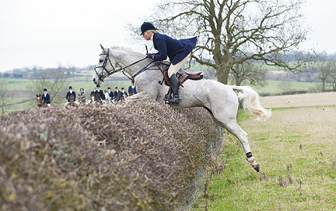 Little Tiger jumping a hedge out hunting with Phoebe Buckley.Picture by Nico Morgan