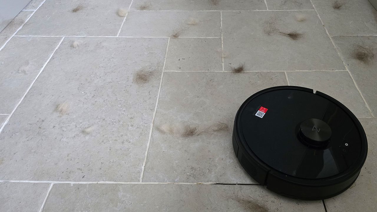 Roborock Q7 M5 before cleaning pet hair on stone floor