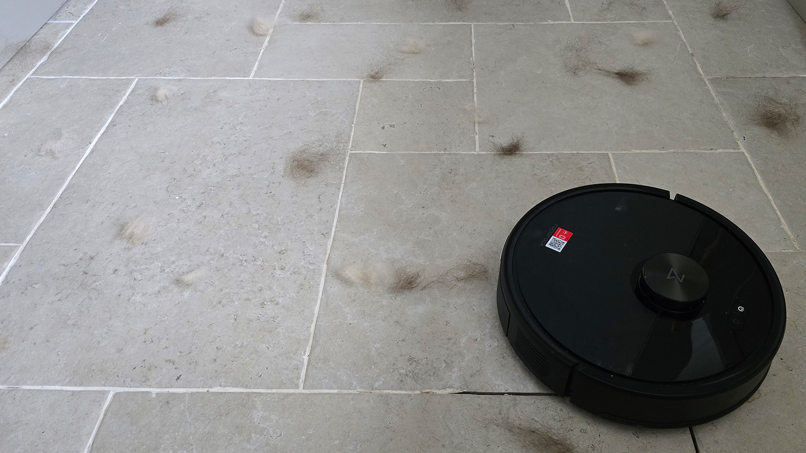Roborock Q7 M5 before cleaning pet hair on stone floor