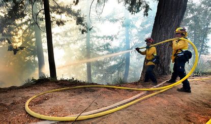 Firefighters battling the Bobcat fire near Mount Wilson Observatory.