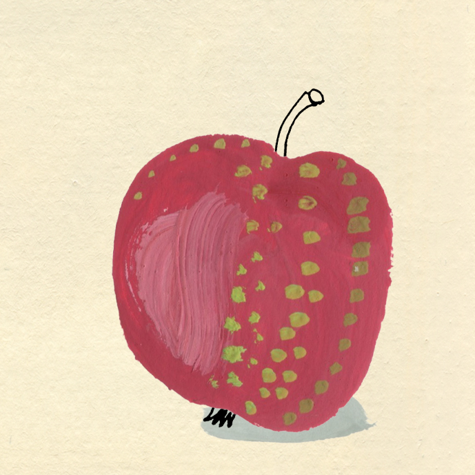 Colour illustration of a heritage apple