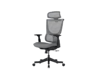 Flexispot BS8 office chair