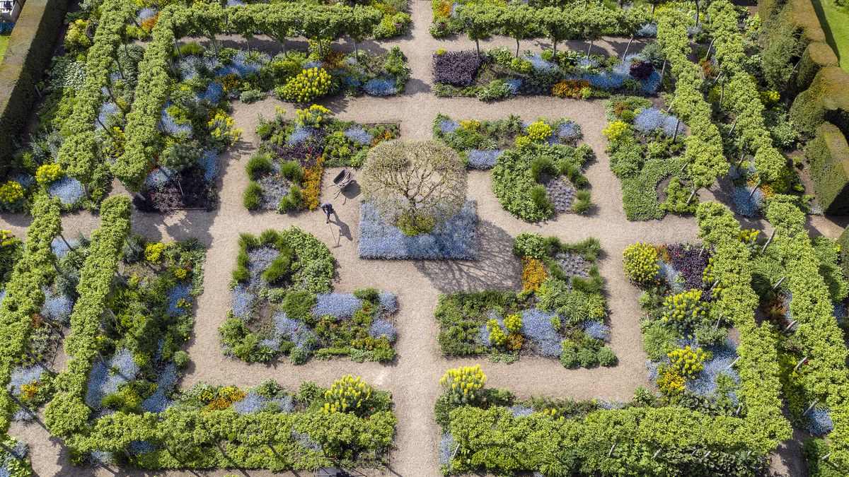 Beautiful drone image is the big winner in RHS garden photography ...