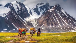 Mongolia is tipped as one of the top countries to visit