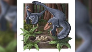 An illustrated reconstruction of Troodon.
