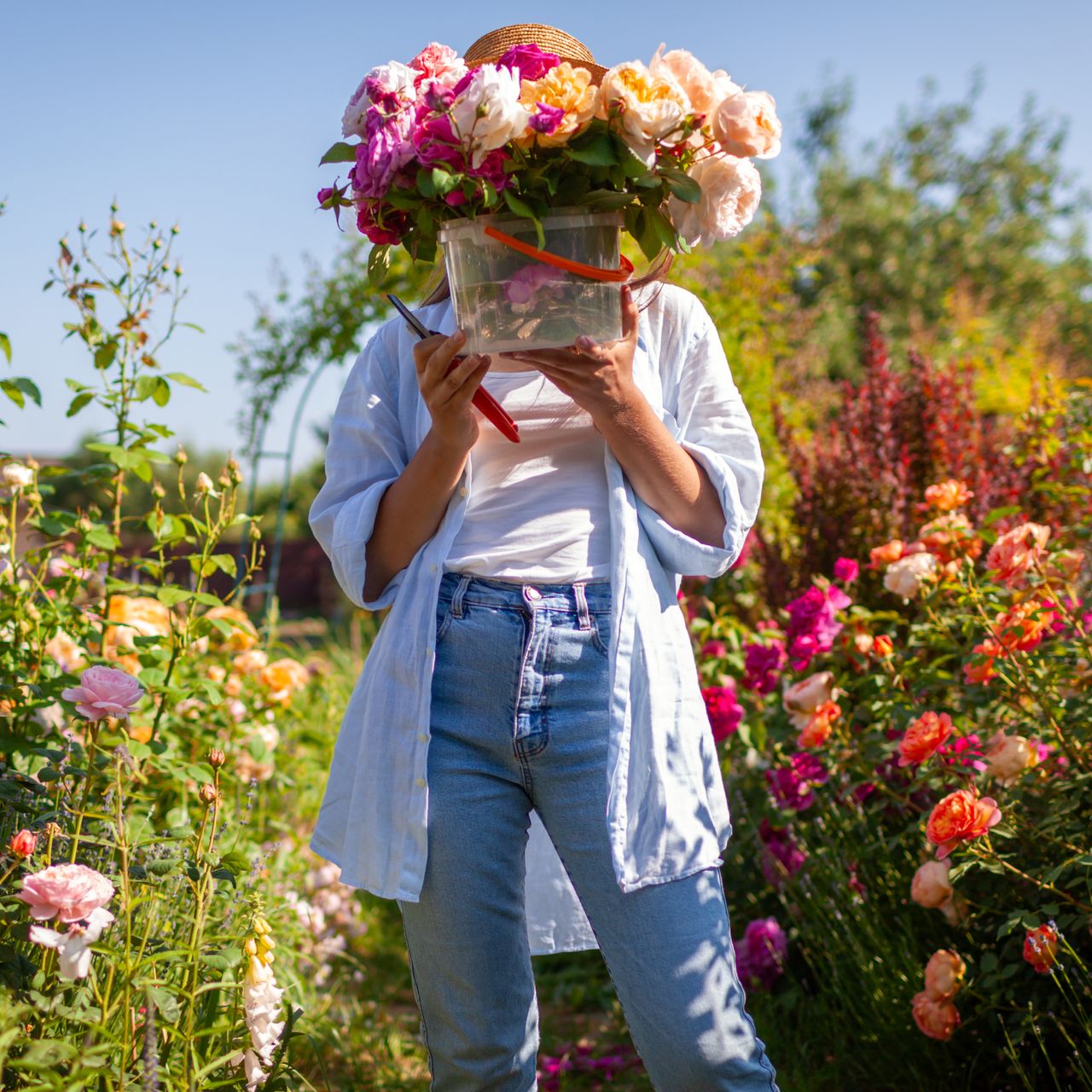woman holding a bucket of cut roses in a garden