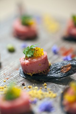 Create's Lobster mousseline canape, entered in 2017's Country Life and Plain English canape competition