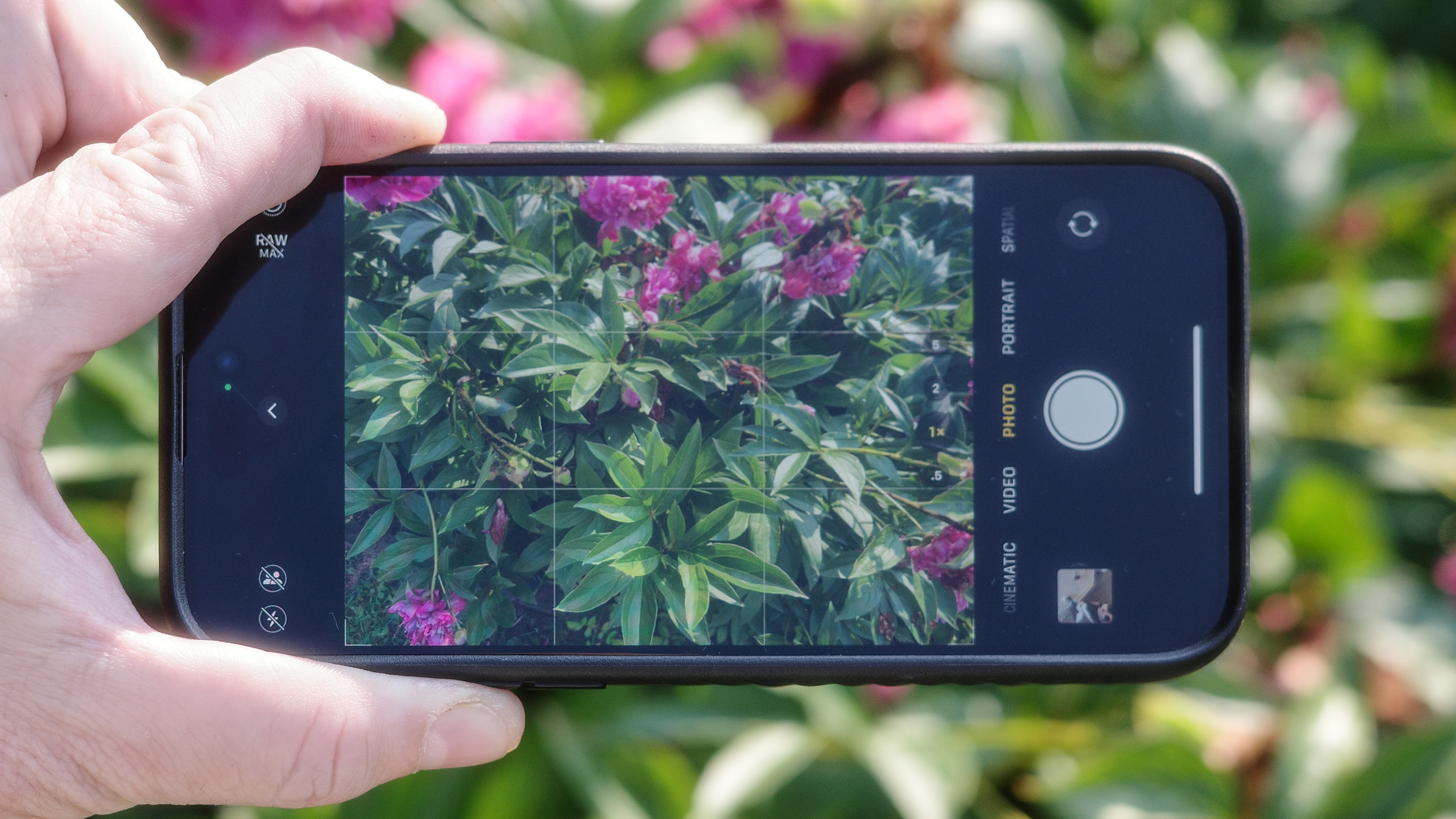 The best camera phones taking photos of red flowers in direct sunlight held individually and side by side