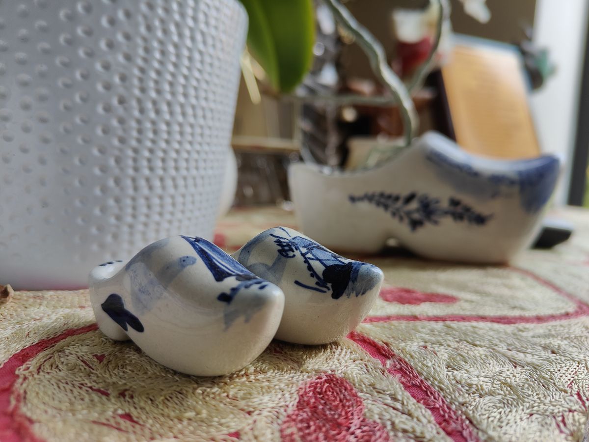 A photo captured on the OnePlus 10T smartphone
