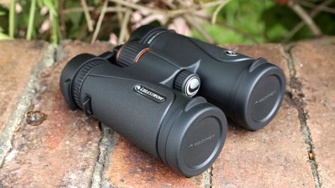 Image shows Celestron TrailSeeker 8x42 binoculars resting on a brick wall.