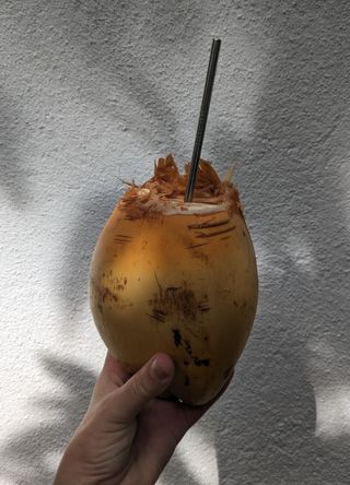 Thæmbili (King coconut)