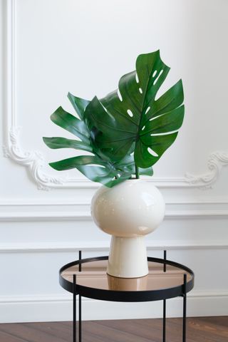 White vase with monstera leaves on a mirrored coffee table against a white wall