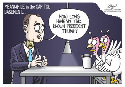 Political Cartoon U.S. Thanksgiving Schiff Interviews Turkeys