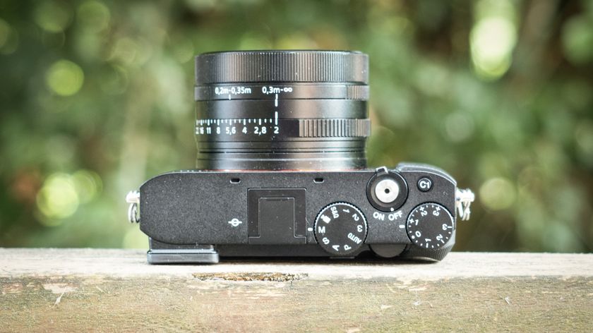 Sony RX1R III on a wooden surface in a woodland environment