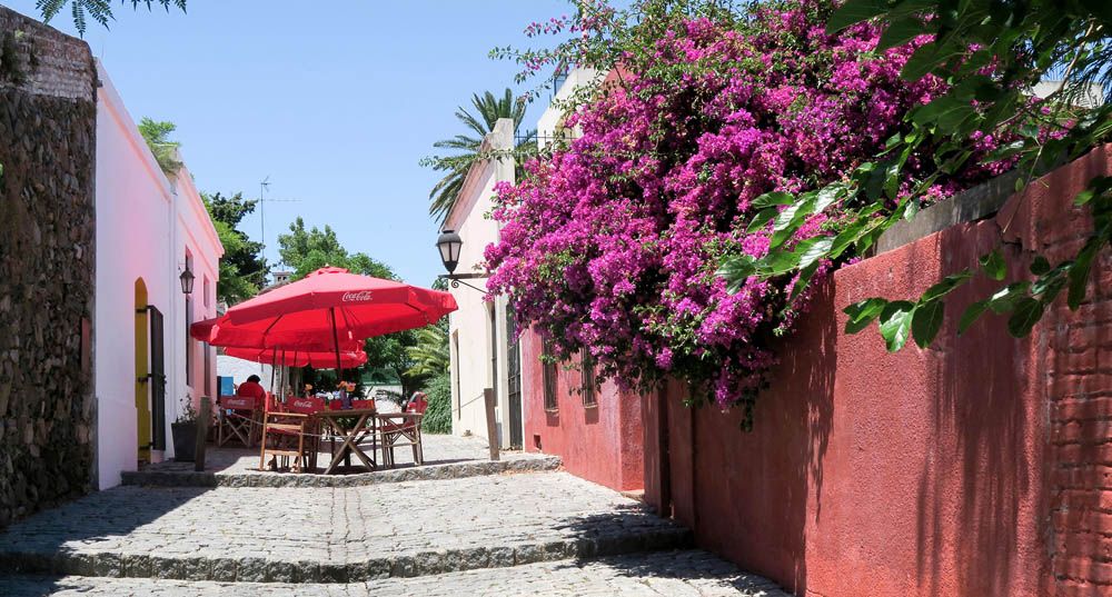 Bougainvillea spills into a sunny Buenos Aires alleyway.