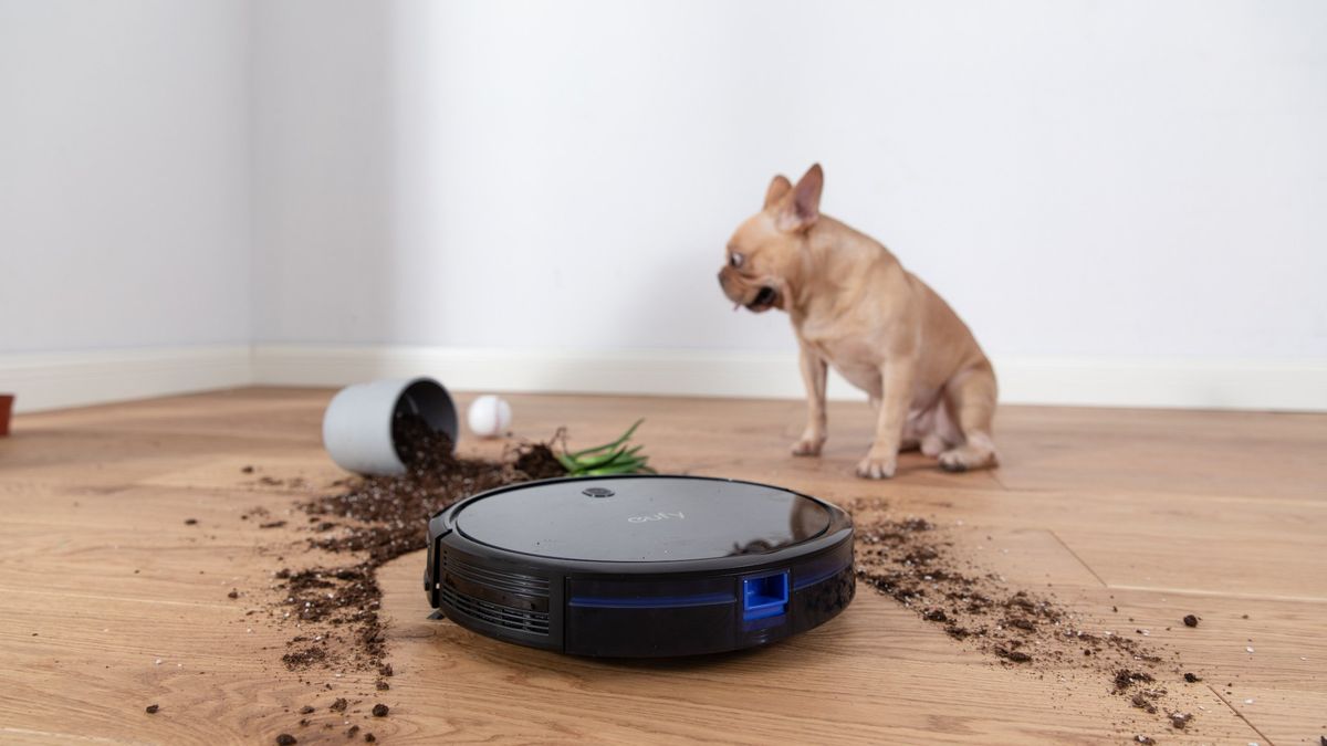 RoboVac 15c Max