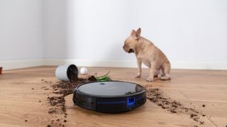 RoboVac 15c Max